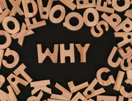 Why? –  Essay for the Council for the Advancement of Standards in Higher Education 